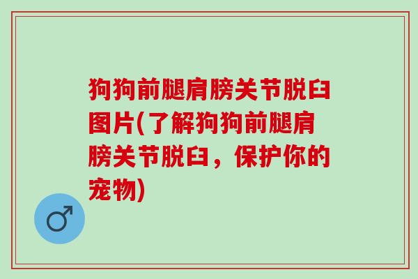 狗狗前腿肩膀关节脱臼图片(了解狗狗前腿肩膀关节脱臼，保护你的宠物)