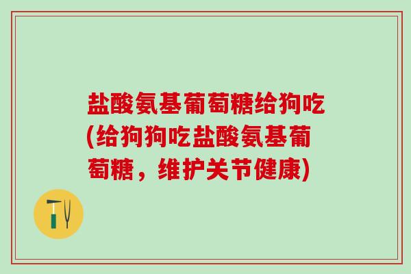 盐酸氨基葡萄糖给狗吃(给狗狗吃盐酸氨基葡萄糖，维护关节健康)