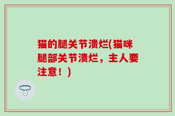 猫的腿关节溃烂(猫咪腿部关节溃烂,主人要注意!) 猫的腿关节溃烂(猫咪腿部关节溃烂,主人要注意!)