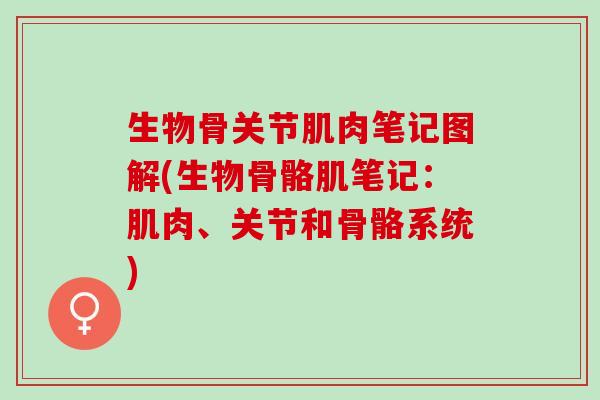 生物骨关节肌肉笔记图解(生物骨骼肌笔记：肌肉、关节和骨骼系统)