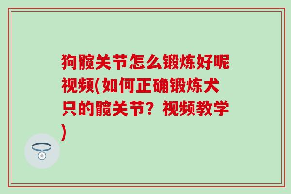 狗髋关节怎么锻炼好呢视频(如何正确锻炼犬只的髋关节？视频教学)