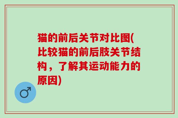 猫的前后关节对比图(比较猫的前后肢关节结构，了解其运动能力的原因)
