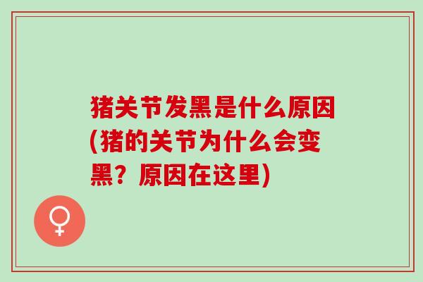 猪关节发黑是什么原因(猪的关节为什么会变黑？原因在这里)
