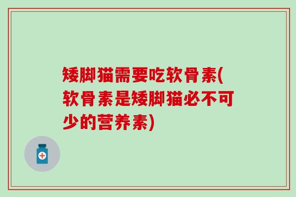 矮脚猫需要吃软骨素(软骨素是矮脚猫必不可少的营养素)
