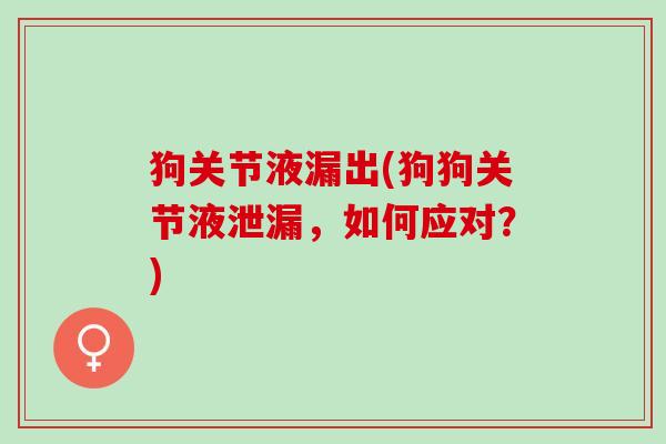狗关节液漏出(狗狗关节液泄漏，如何应对？)