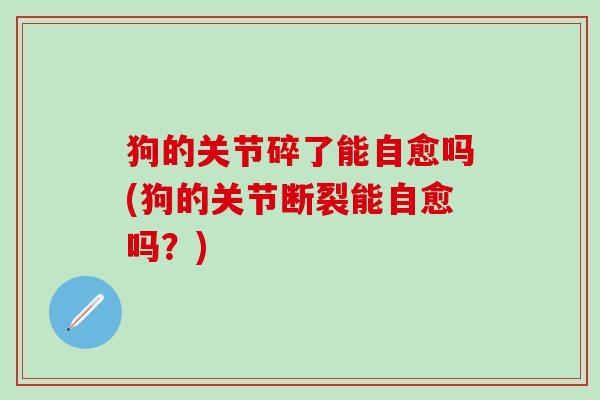 狗的关节碎了能自愈吗(狗的关节断裂能自愈吗？)