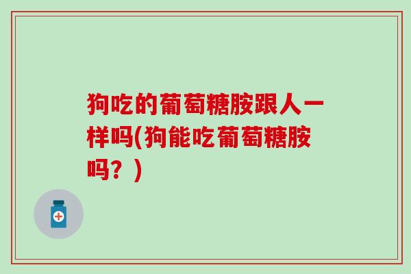 狗吃的葡萄糖胺跟人一样吗(狗能吃葡萄糖胺吗？)