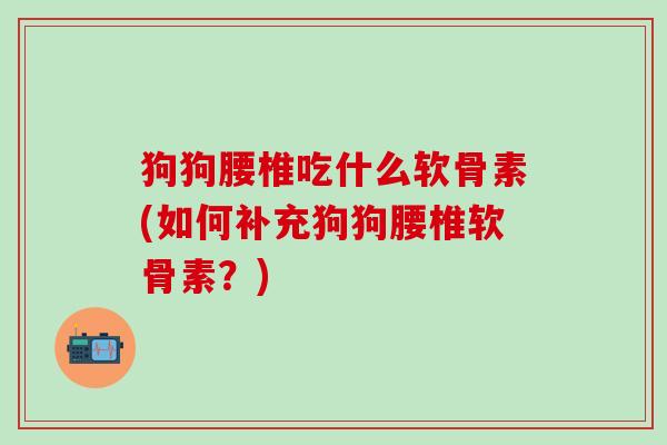 狗狗腰椎吃什么软骨素(如何补充狗狗腰椎软骨素？)