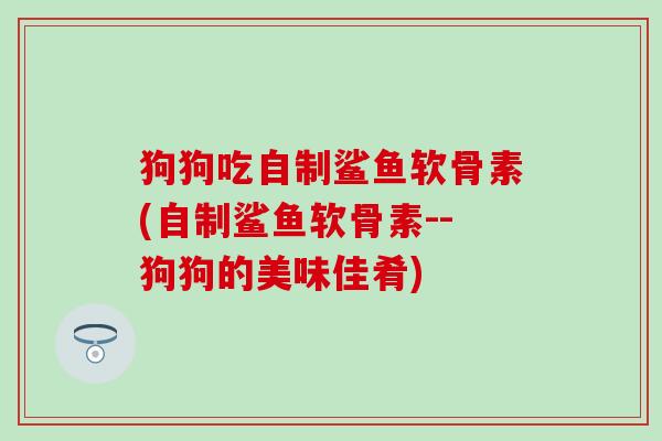 狗狗吃自制鲨鱼软骨素(自制鲨鱼软骨素--狗狗的美味佳肴)
