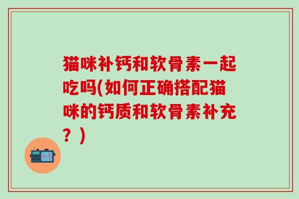 猫咪补钙和软骨素一起吃吗(如何正确搭配猫咪的钙质和软骨素补充？)