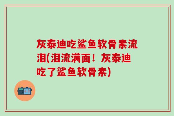 灰泰迪吃鲨鱼软骨素流泪(泪流满面！灰泰迪吃了鲨鱼软骨素)