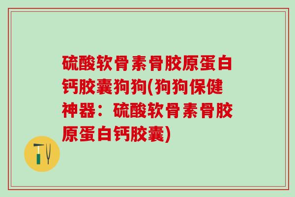 硫酸软骨素骨胶原蛋白钙胶囊狗狗(狗狗保健神器：硫酸软骨素骨胶原蛋白钙胶囊)