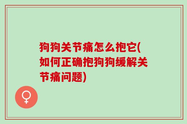 狗狗关节痛怎么抱它(如何正确抱狗狗缓解关节痛问题)