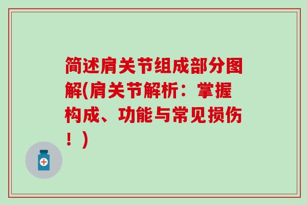 简述肩关节组成部分图解(肩关节解析：掌握构成、功能与常见损伤！)