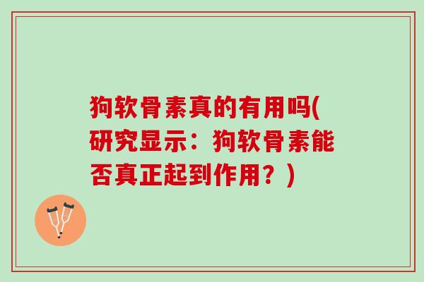 狗软骨素真的有用吗(研究显示:狗软骨素能否真正起到作用?) 狗软骨素真的有用吗(研究显示:狗软骨素能否真正起到作用?)