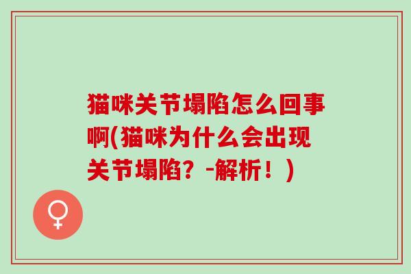 猫咪关节塌陷怎么回事啊(猫咪为什么会出现关节塌陷？-解析！)