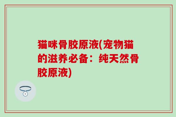 猫咪骨胶原液(宠物猫的滋养必备：纯天然骨胶原液)