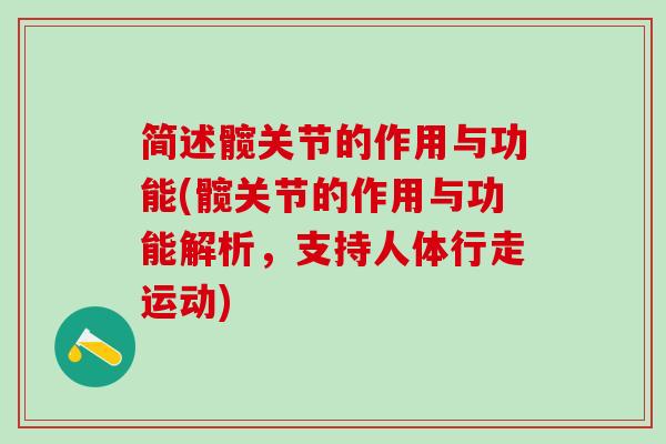 简述髋关节的作用与功能(髋关节的作用与功能解析，支持人体行走运动)