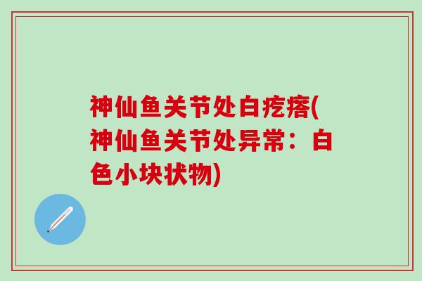 神仙鱼关节处白疙瘩(神仙鱼关节处异常：白色小块状物)