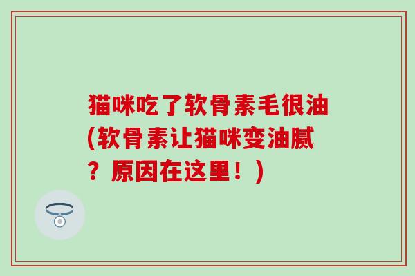 猫咪吃了软骨素毛很油(软骨素让猫咪变油腻？原因在这里！)