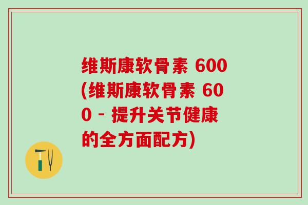 维斯康软骨素 600(维斯康软骨素 600 - 提升关节健康的全方面配方)