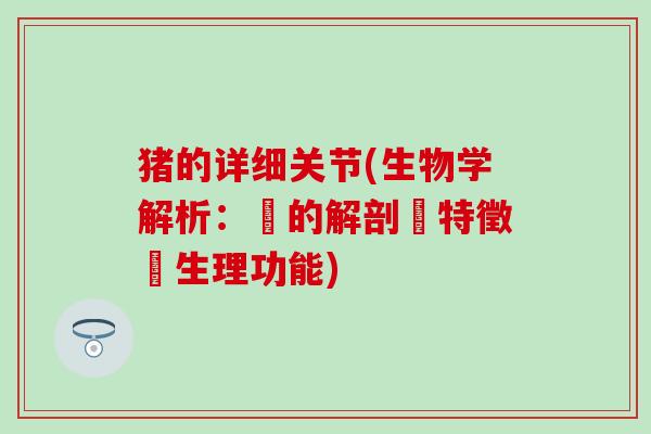 猪的详细关节(生物学解析：豬的解剖學特徵與生理功能)