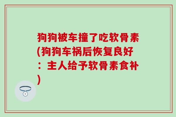 狗狗被车撞了吃软骨素(狗狗车祸后恢复良好：主人给予软骨素食补)
