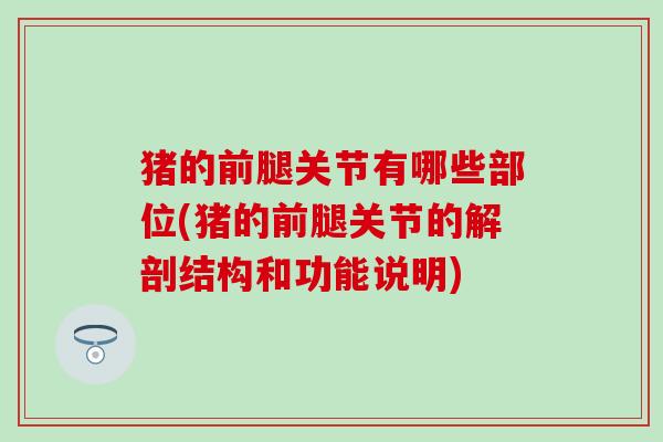 猪的前腿关节有哪些部位(猪的前腿关节的解剖结构和功能说明)