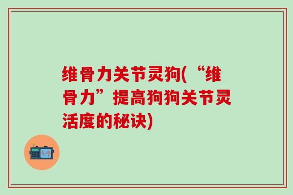 维骨力关节灵狗(“维骨力”提高狗狗关节灵活度的秘诀)