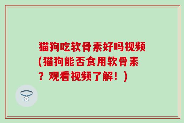 猫狗吃软骨素好吗视频(猫狗能否食用软骨素？观看视频了解！)