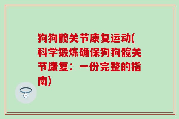 狗狗髋关节康复运动(科学锻炼确保狗狗髋关节康复：一份完整的指南)