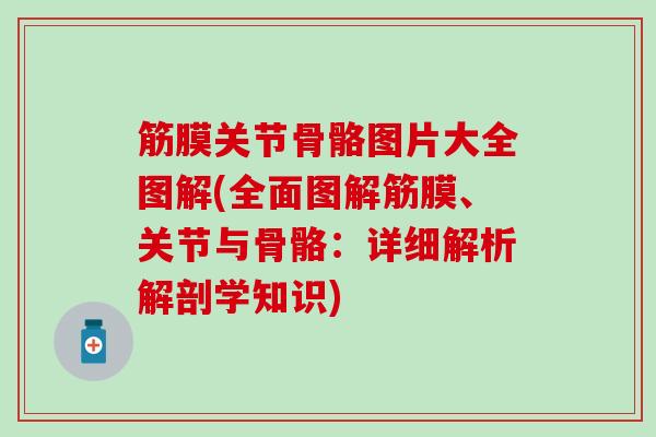 筋膜关节骨骼图片大全图解(全面图解筋膜、关节与骨骼：详细解析解剖学知识)