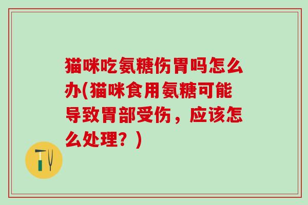 猫咪吃氨糖伤胃吗怎么办(猫咪食用氨糖可能导致胃部受伤，应该怎么处理？)