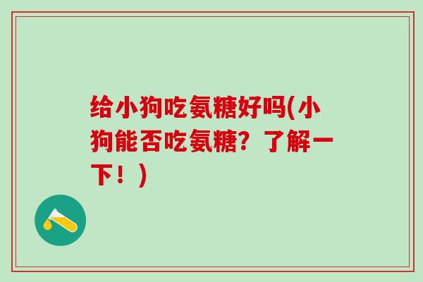 给小狗吃氨糖好吗(小狗能否吃氨糖？了解一下！)
