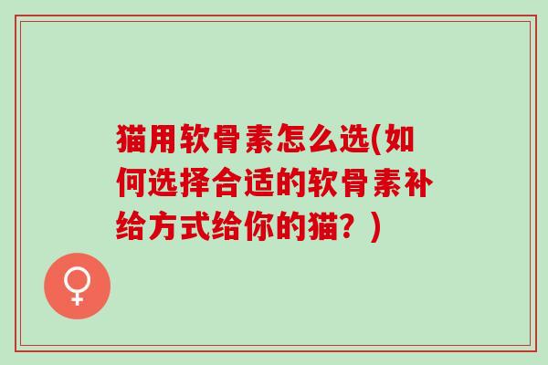 猫用软骨素怎么选(如何选择合适的软骨素补给方式给你的猫？)