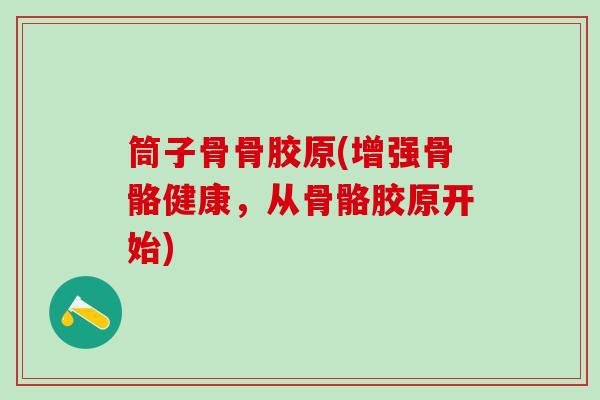 筒子骨骨胶原(增强骨骼健康，从骨骼胶原开始)