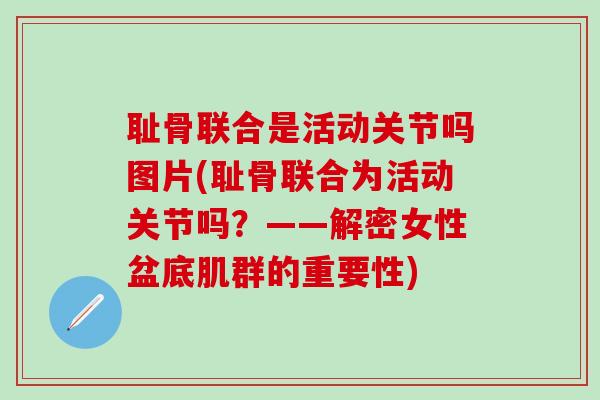 耻骨联合是活动关节吗图片(耻骨联合为活动关节吗？——解密女性盆底肌群的重要性)