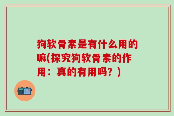 狗软骨素是有什么用的嘛(探究狗软骨素的作用：真的有用吗？)