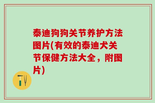 泰迪狗狗关节养护方法图片(有效的泰迪犬关节保健方法大全，附图片)