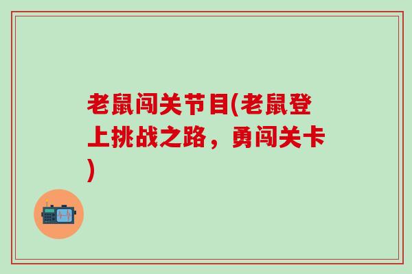 老鼠闯关节目(老鼠登上挑战之路，勇闯关卡)