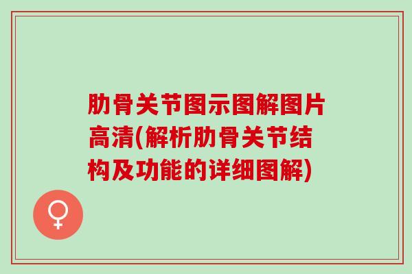 肋骨关节图示图解图片高清(解析肋骨关节结构及功能的详细图解)