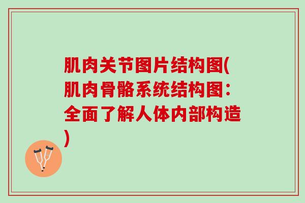 肌肉关节图片结构图(肌肉骨骼系统结构图：全面了解人体内部构造)