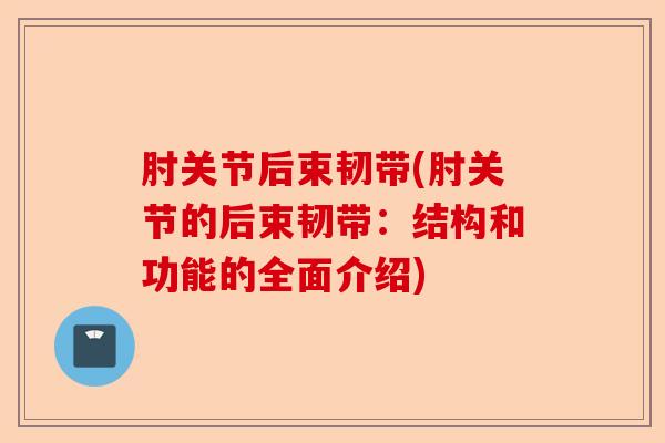 肘关节后束韧带(肘关节的后束韧带：结构和功能的全面介绍)