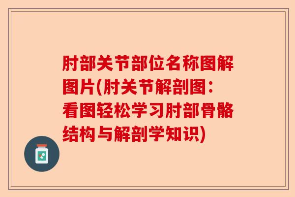 肘部关节部位名称图解图片(肘关节解剖图：看图轻松学习肘部骨骼结构与解剖学知识)