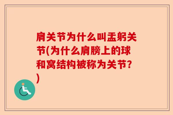 肩关节为什么叫盂躬关节(为什么肩膀上的球和窝结构被称为关节？)