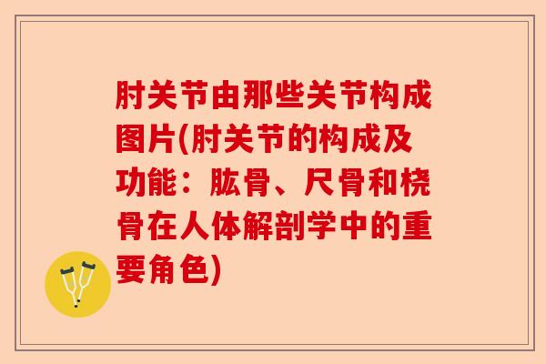 肘关节由那些关节构成图片(肘关节的构成及功能：肱骨、尺骨和桡骨在人体解剖学中的重要角色)