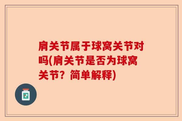 肩关节属于球窝关节对吗(肩关节是否为球窝关节？简单解释)