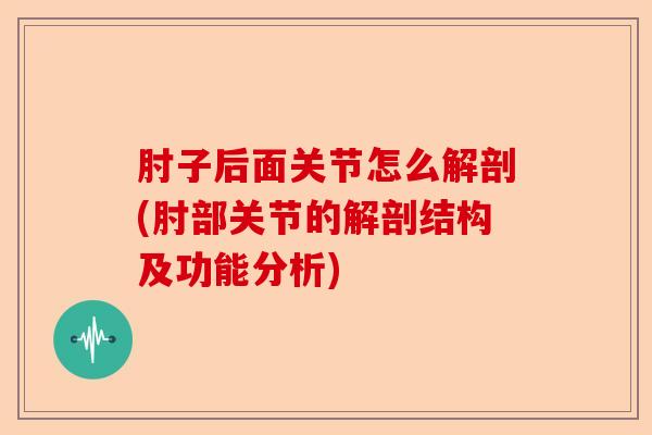 肘子后面关节怎么解剖(肘部关节的解剖结构及功能分析)