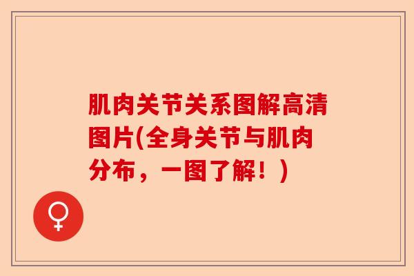 肌肉关节关系图解高清图片(全身关节与肌肉分布，一图了解！)