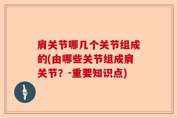 肩关节哪几个关节组成的(由哪些关节组成肩关节？-重要知识点)